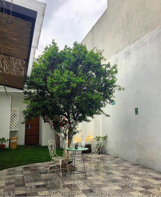 Hoja Santa Hostal Boutique Чолула Экстерьер фото